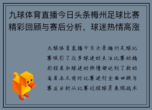 九球体育直播今日头条梅州足球比赛精彩回顾与赛后分析，球迷热情高涨
